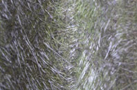 Gornalwood fibreglass roof work